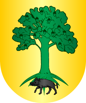 ESCUDO ALEATORIO